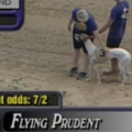 FlyingPrudent2.png