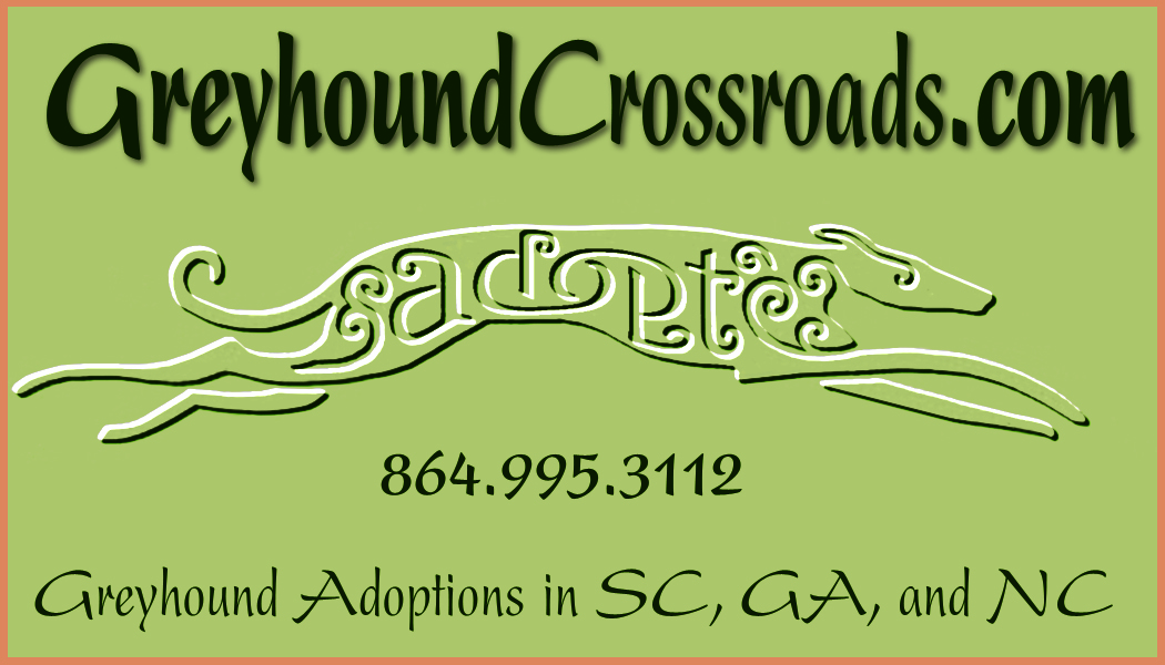 Greyhound Crossroads Volunteer Opportunities