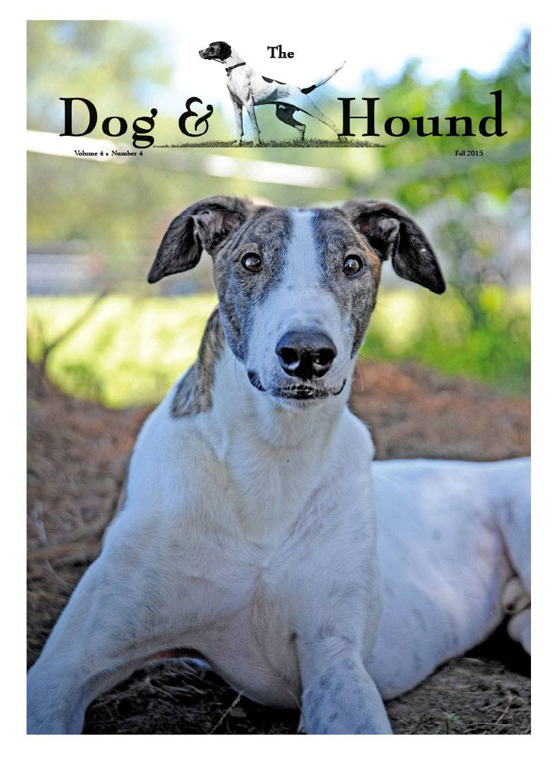 Greyhound Cover on Dog & Hound Magazine