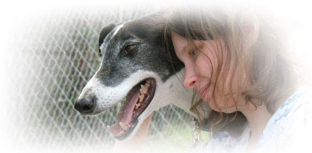 Greyhounds and Love