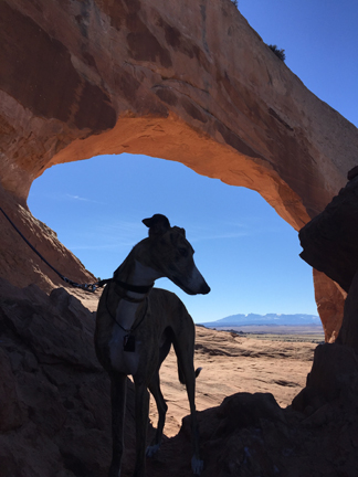 Greyhound Crossroads Photography Stutz in Utah