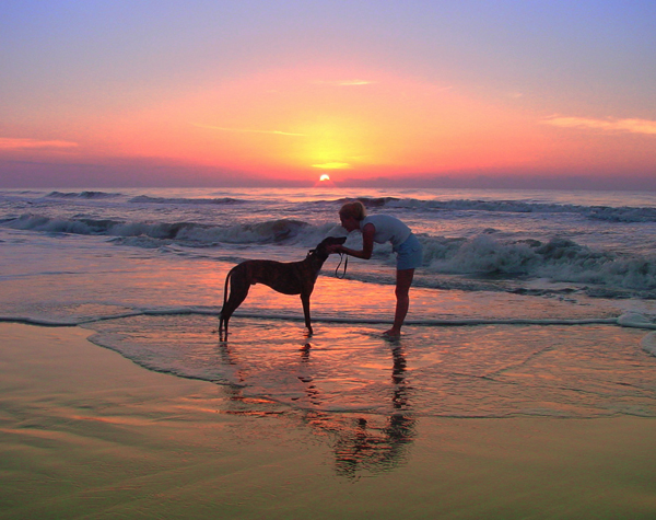 Greyhound Crossroads photography beach best