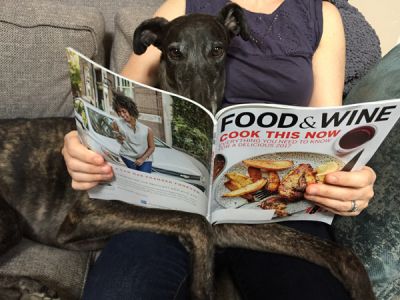 Magazine Greyhoundsm.JPG