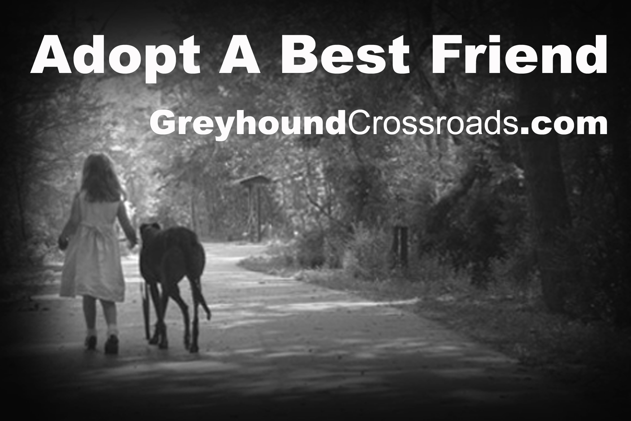 Adopt A Best Friend Greyhound Crossroads