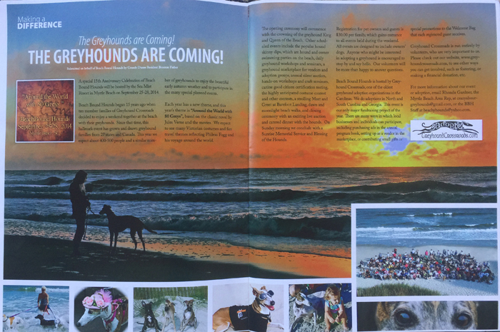 Beach Bound Hounds In Dunes Living Magazine