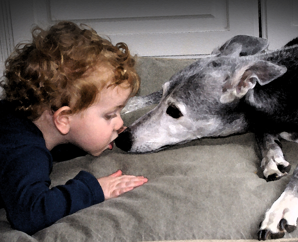 Child and Greyhound